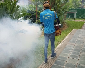 Pest control singapore
