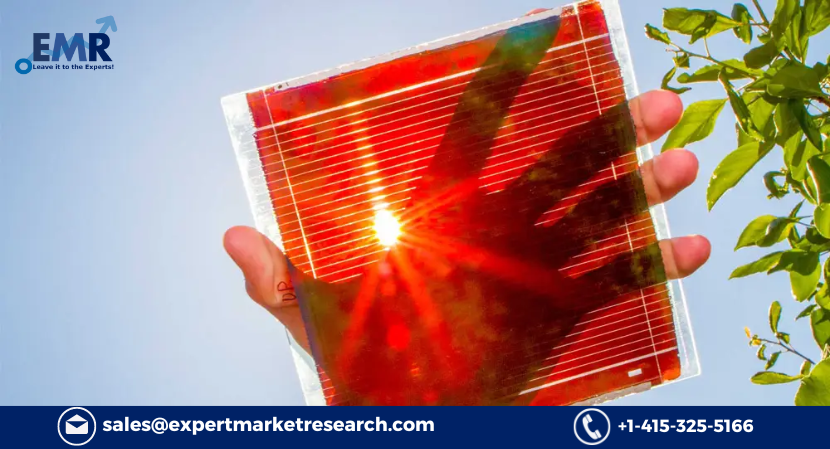 Perovskite Solar Cell Market