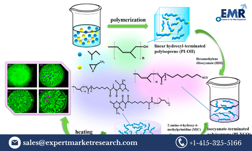 Polyisoprene Market