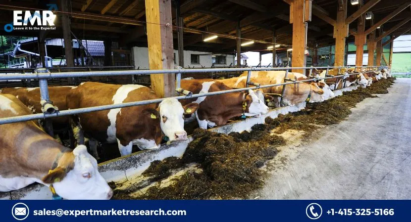 Probiotics in Animal Feed Market