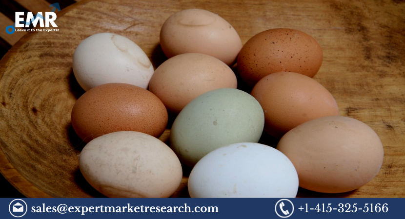 Specialty Egg Market