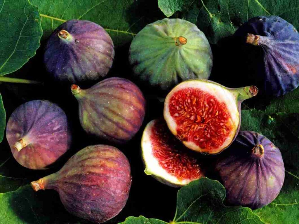 Anjeer and Figs Have Quite a Few Well-Being Advantages