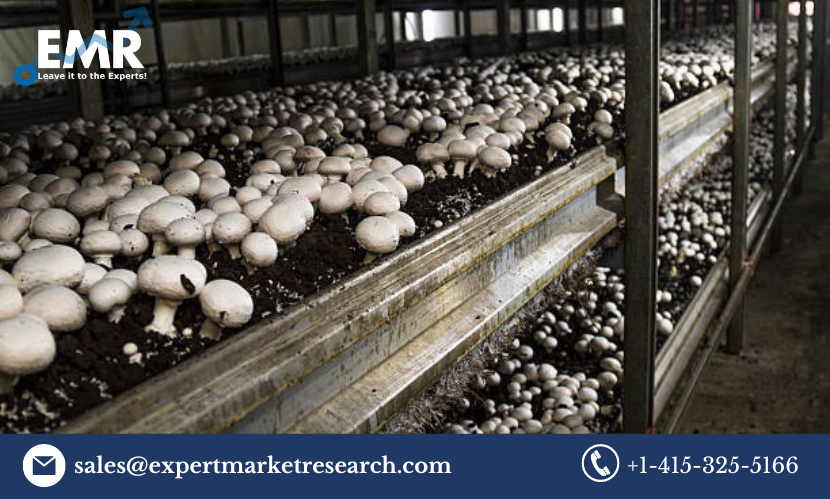 Mushroom Cultivation Market