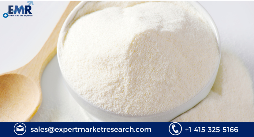 Skim Milk Powder Market Size