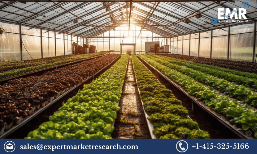 Qatar Greenhouse Market