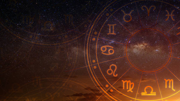 best astrologer vastu consultant