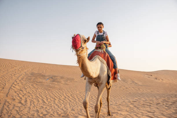 Dubai desert tour