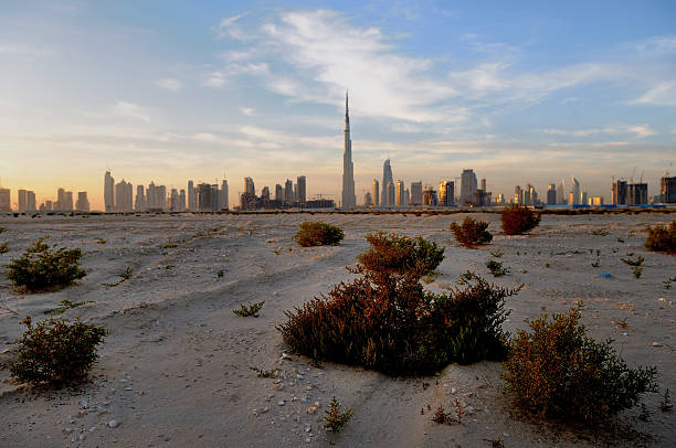 dubai desert tour