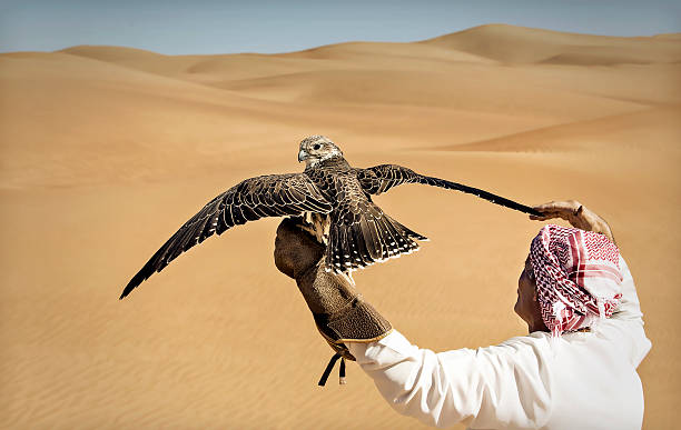 Desert Safari Dubai Deals