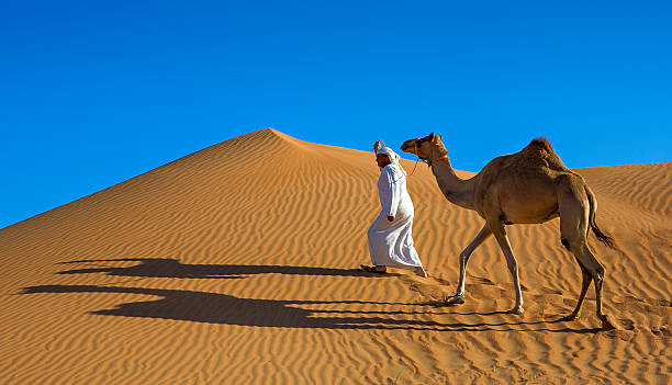 Evening Desert Safari