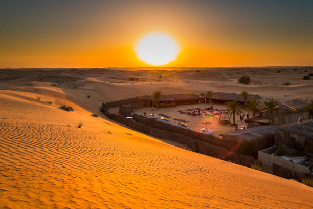 best desert safari company in Dubai