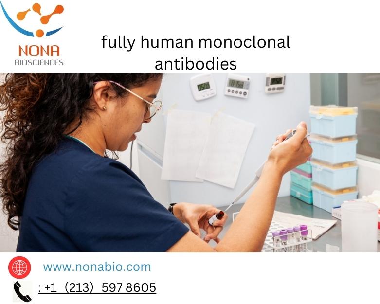 Fully Human Monoclonal Antibodies